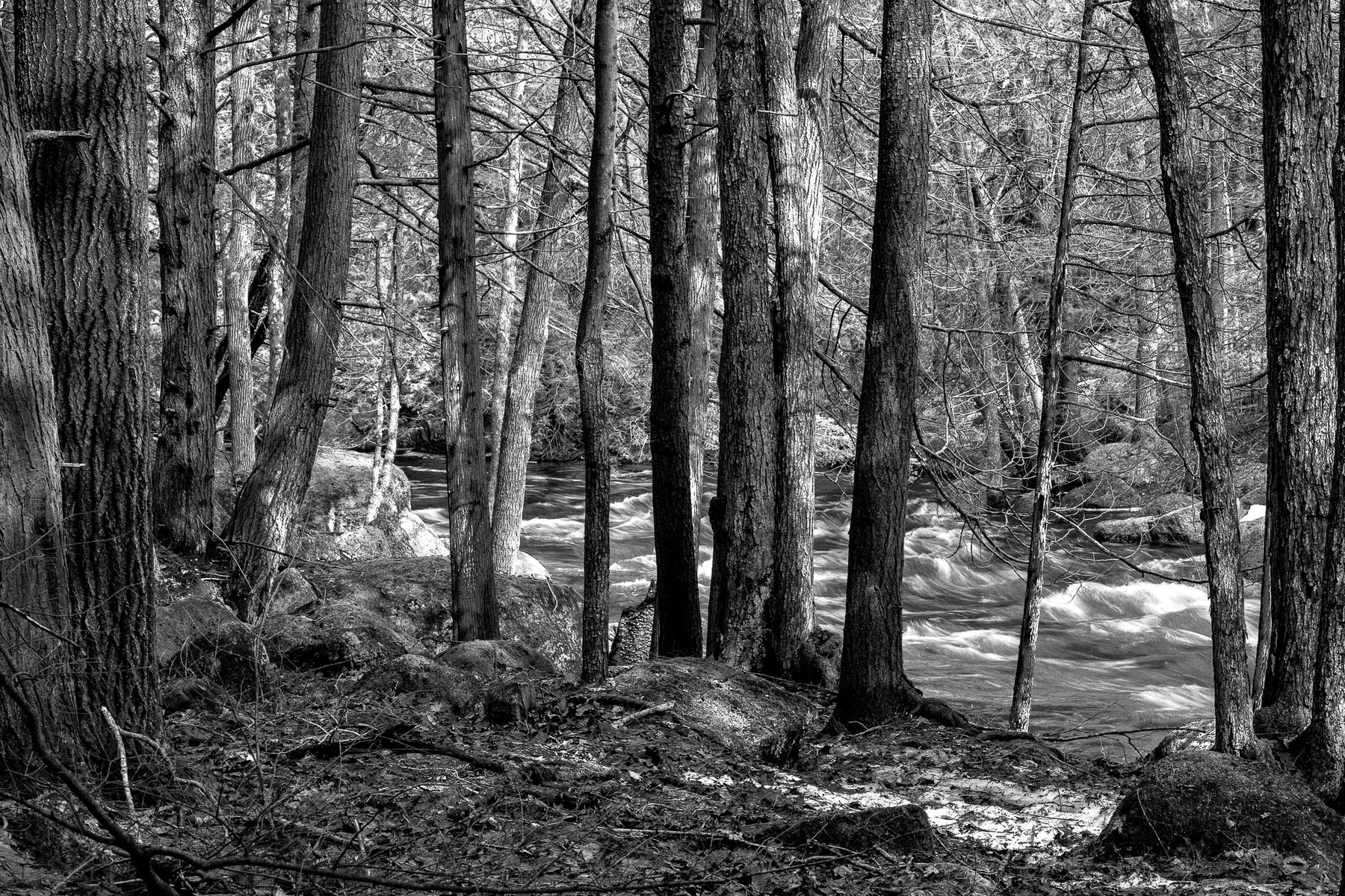 © Robert Rosen Photography